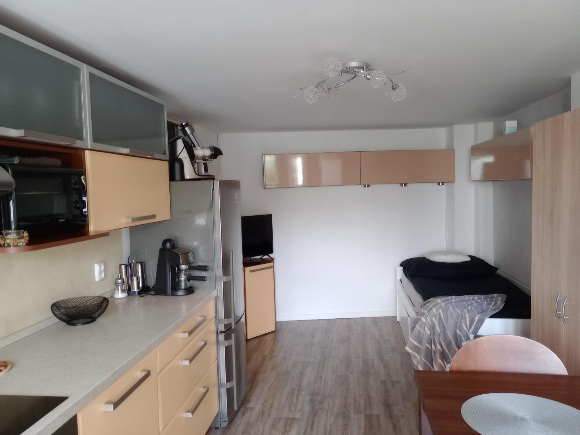 Apartment Marie Polepy